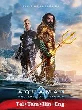 Aquaman and the Lost Kingdom (2023) HDRip Telugu Dubbed